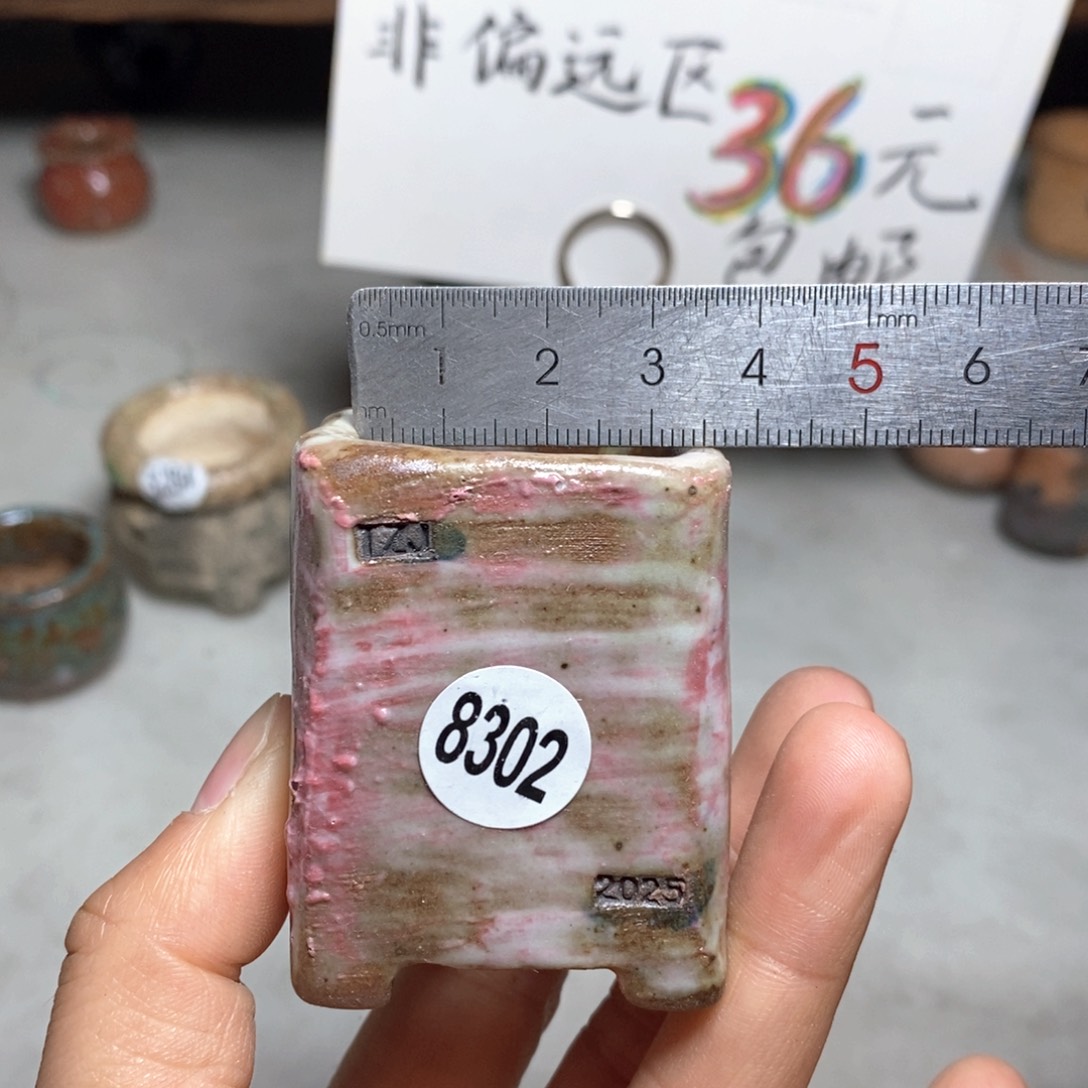 花盆双12特价活动不退不换原价38