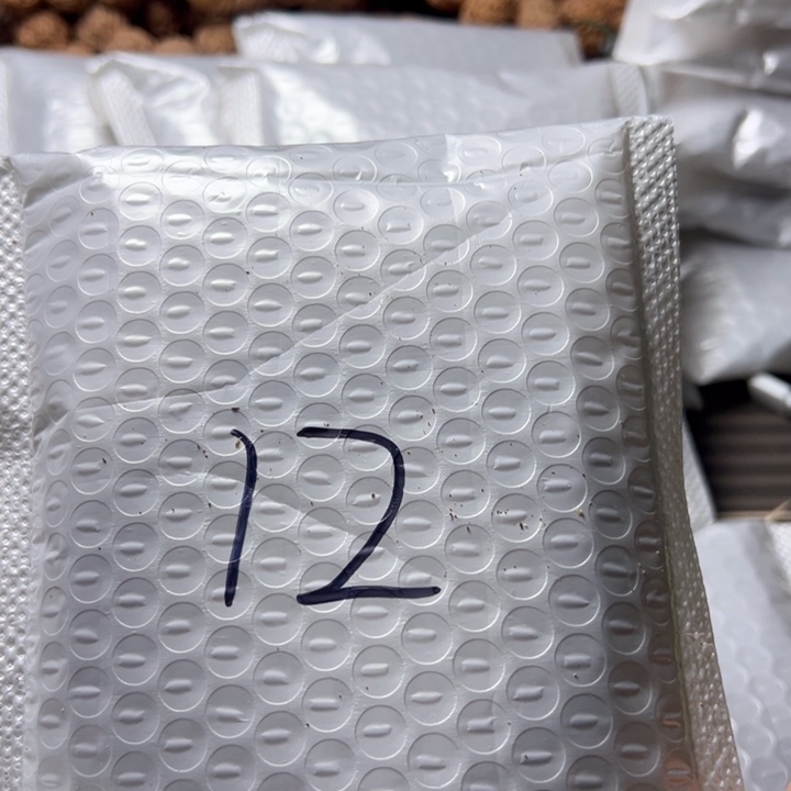 金刚菩提吊坠12号金刚