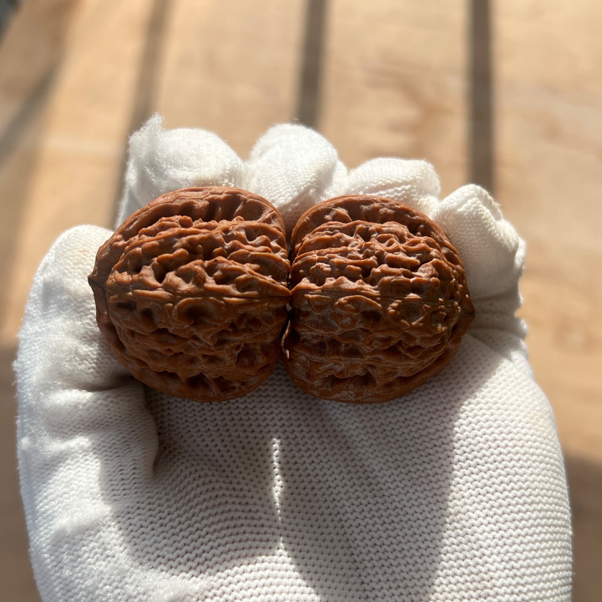 毕业级三角白极致三角桩红皮白狮子