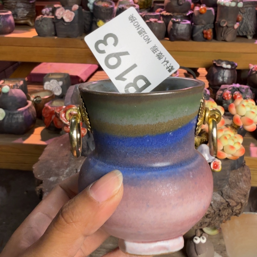 重庆小燕子欢迎大家193