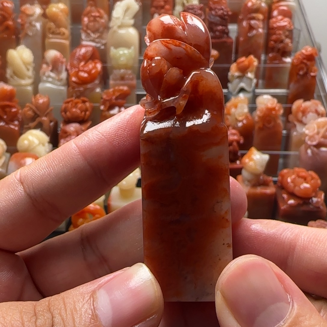 老挝石玉兰   2.1×7.4