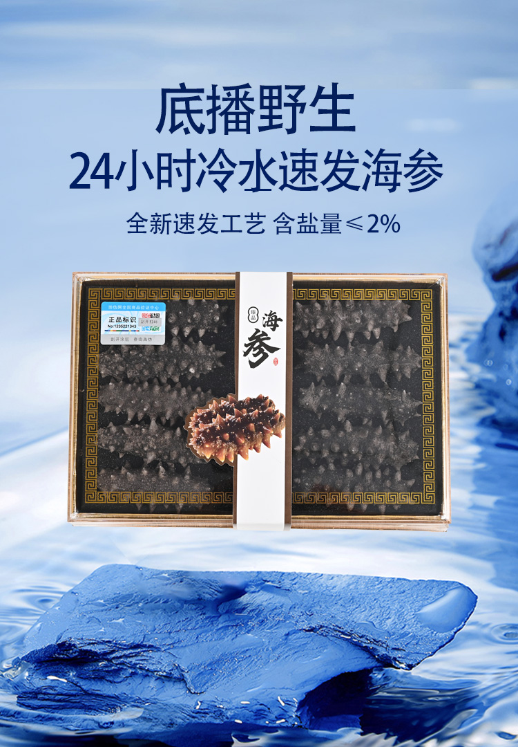 （爆品福利）免煮冷水速发冻干海参高营养