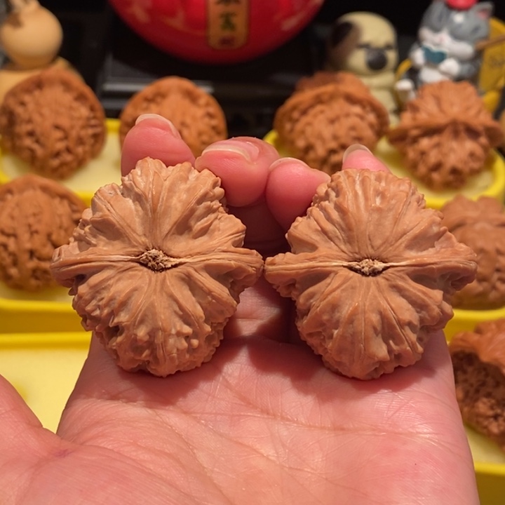 d****f文玩核桃41尺白狮子