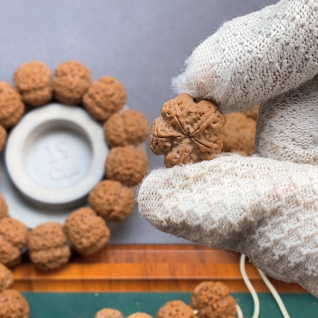 金刚菩提吊坠森尼泊尔金刚菩提籽