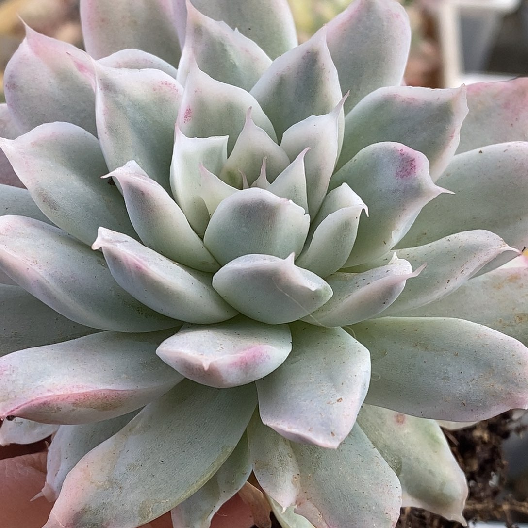 倪***玲067哈哈哈哈哈哈哈哈