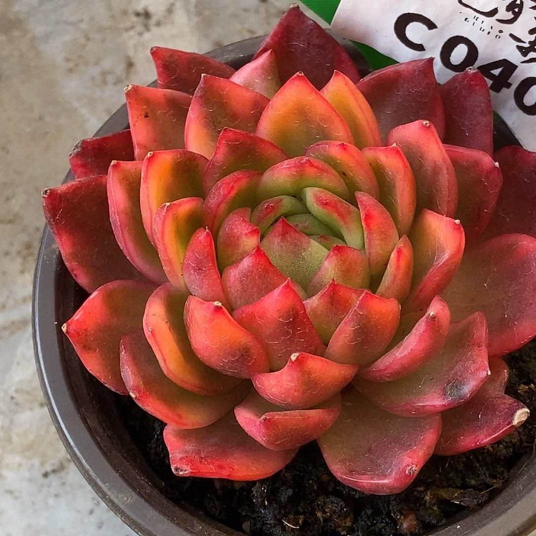 同040哈哈哈哈哈哈哈哈