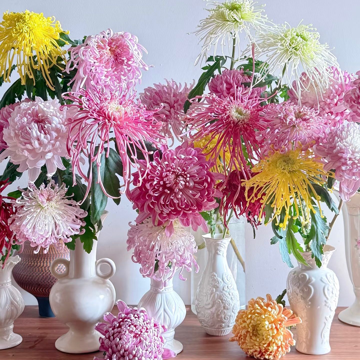 加购【大菊】大菊鲜花/花束 云南鲜花基地直发