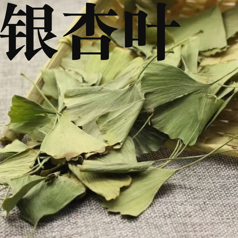 【银杏叶】正品银杏叶