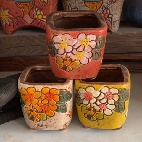 【闪购商品】红陶1