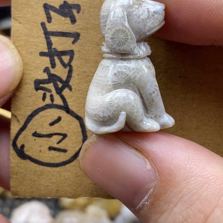 硅化珊瑚（珊瑚玉）未镶嵌颈饰