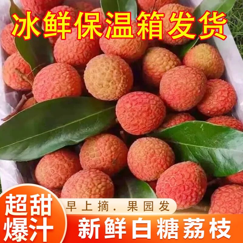 2025新鲜白糖罂荔枝当季正宗老树茂名高州荔枝新鲜水果整箱包邮