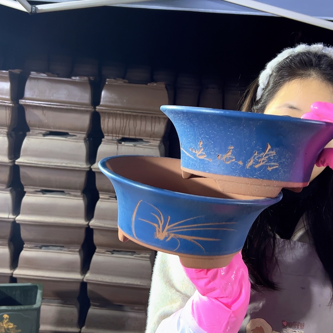 27+27蓝票口花盆花盆花盆