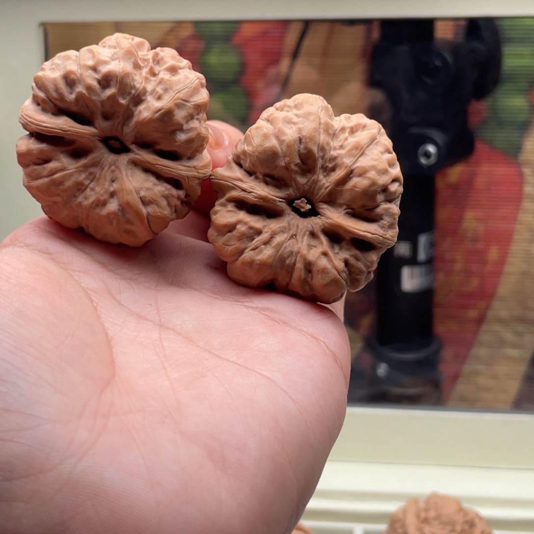 木质类H1115蛙蛙蛙