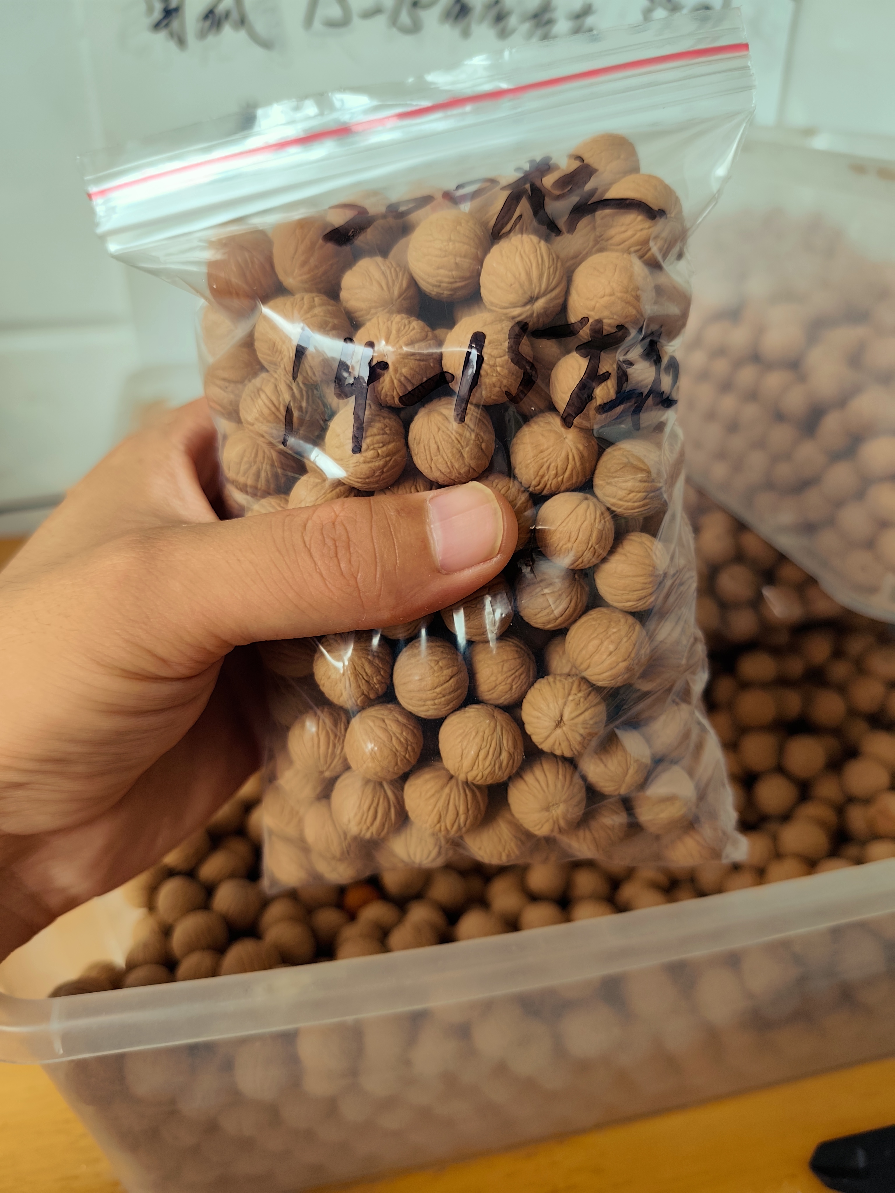 凤羽猴头核桃 14-16左右 200粒装