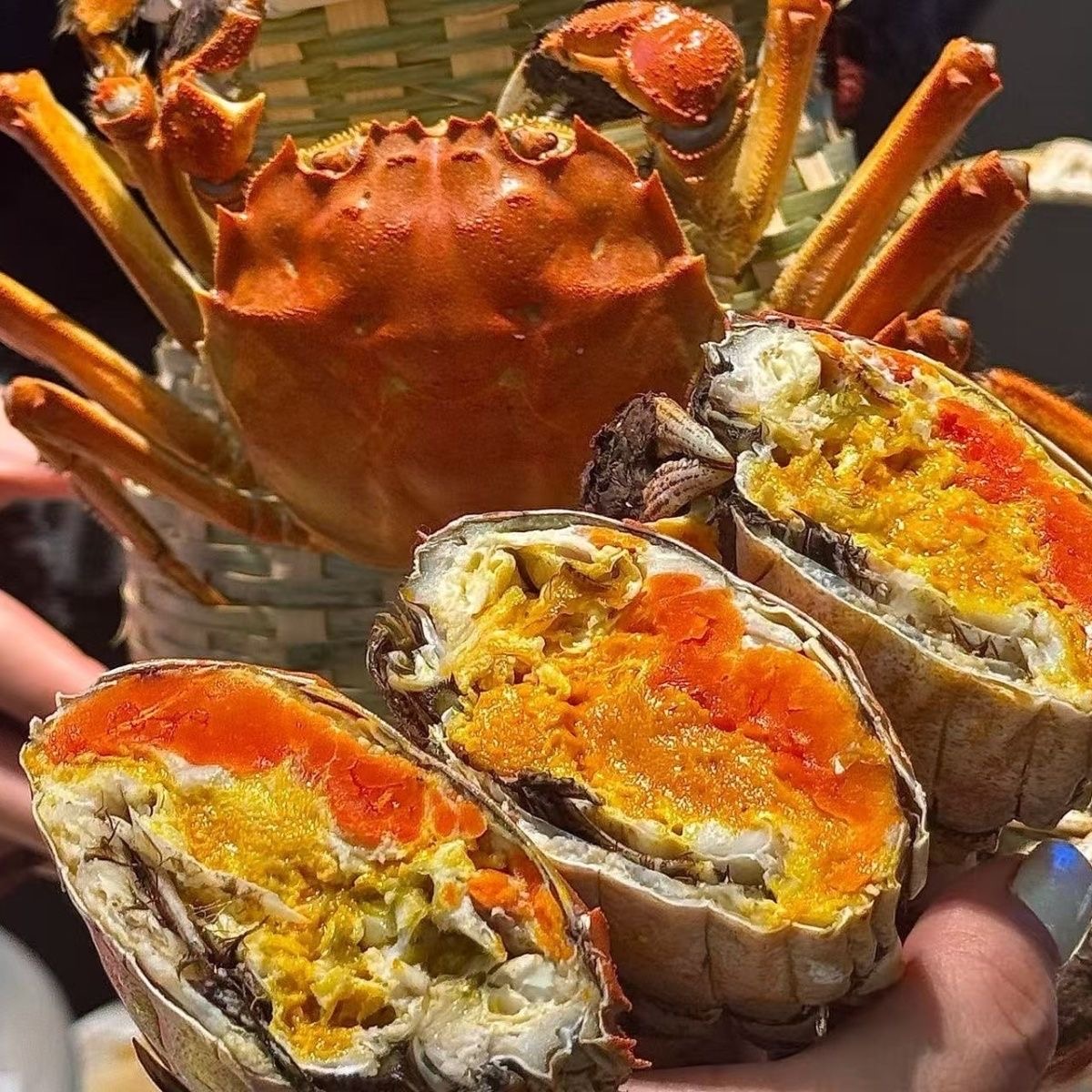 【活蟹】现捕现捞大闸蟹公3.5-3.2两母2.5-2.2两共10只N