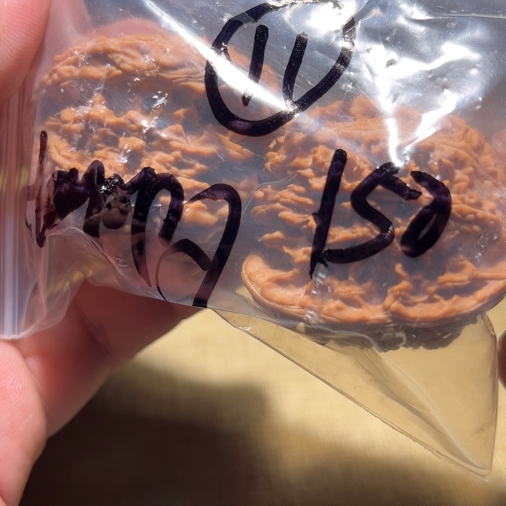 H***n吊坠文玩核桃11呃呃呃呃