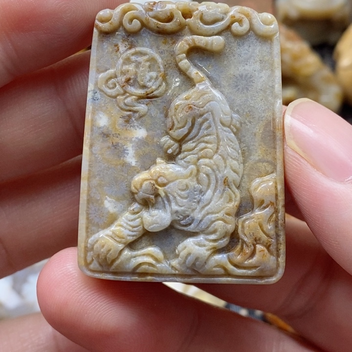 硅化珊瑚（珊瑚玉）颈饰未镶嵌