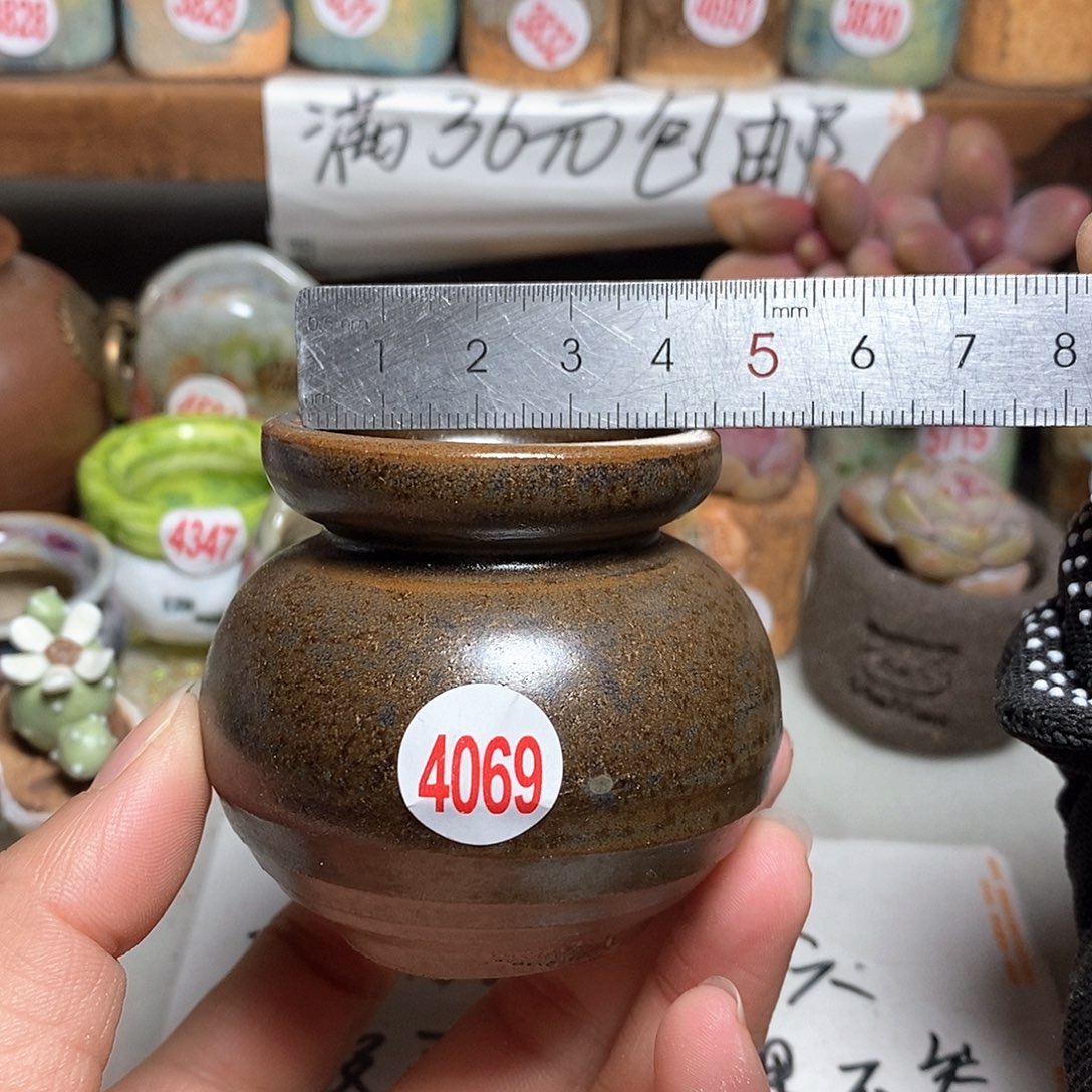 红陶拍5送一个小