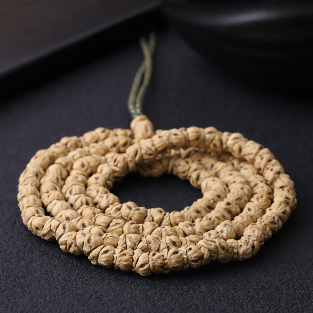 251215 热振精工斜切百香籽大肠（蛇瞳）