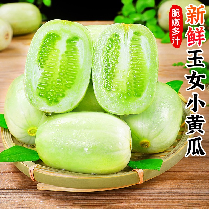 【活动专属】山东玉女小黄瓜新鲜拇指黄瓜金童玉女水果黄瓜4斤