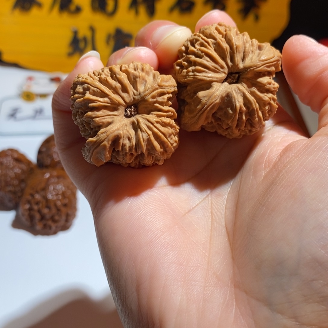 志***天大叶紫檀（黑酸枝木类）