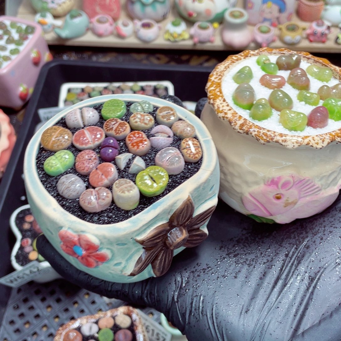 夜间零下地区拍保温箱w6167