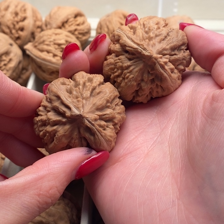 D***H文玩核桃把件霸王龙