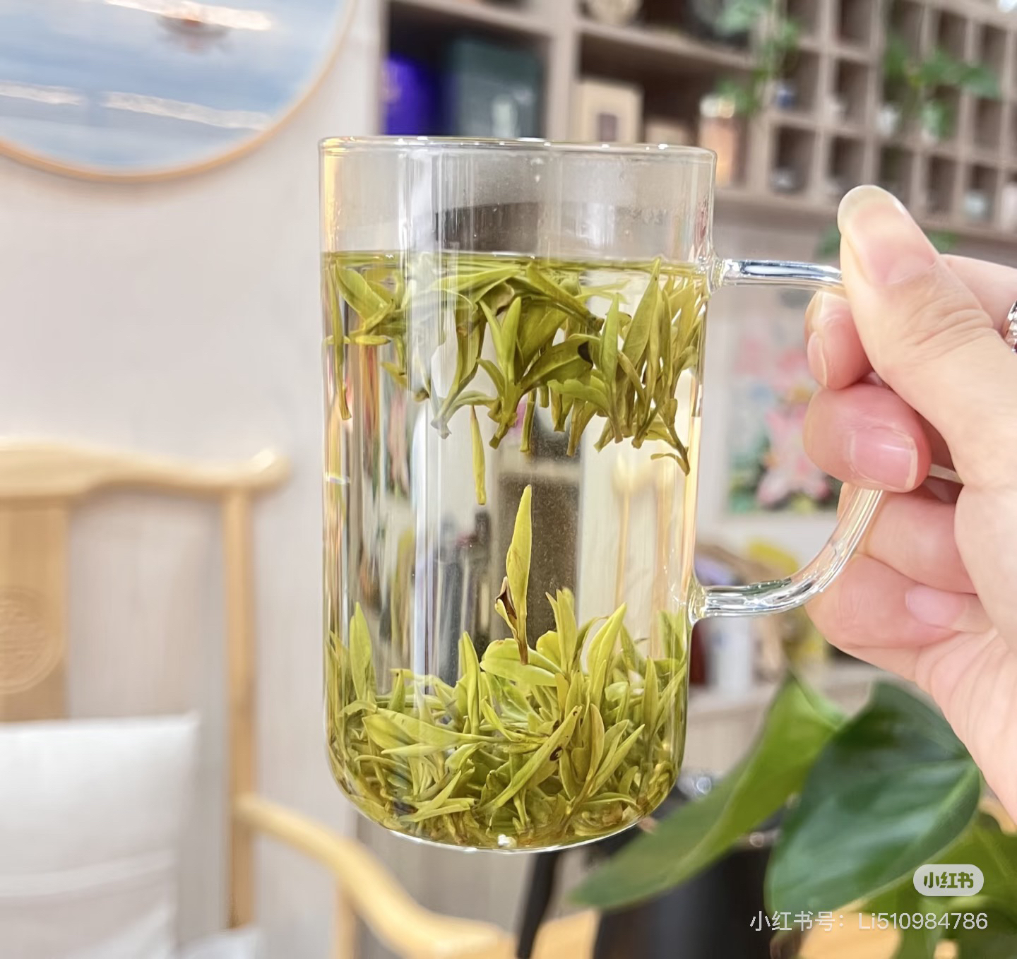 明前2025年新茶小兰花茶叶舒城核心茗茶