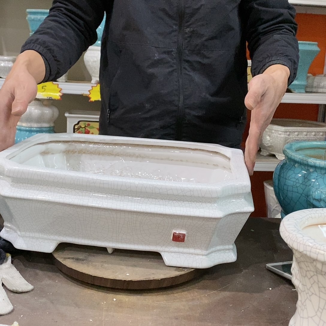 瑕疵花盆里装满鲜花