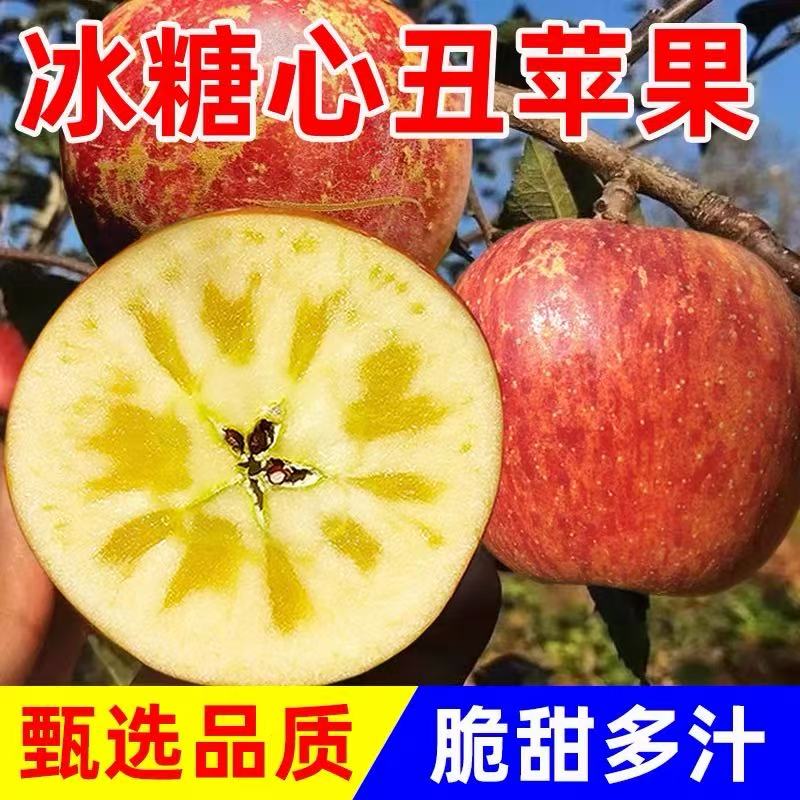 云南丑苹果冰糖心新鲜现摘脆甜水果冰糖心新鲜采摘当季水果