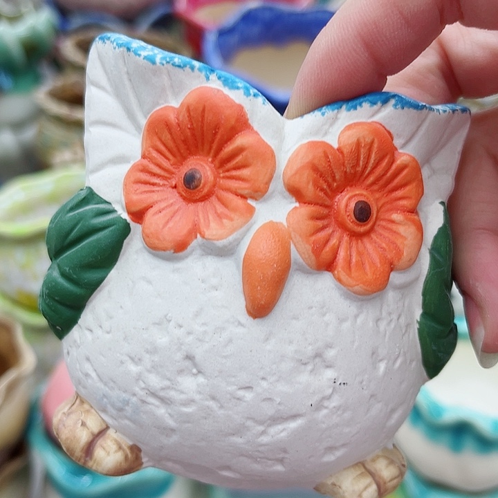 多肉绿植陶瓷花盆9.9包邮，有孔