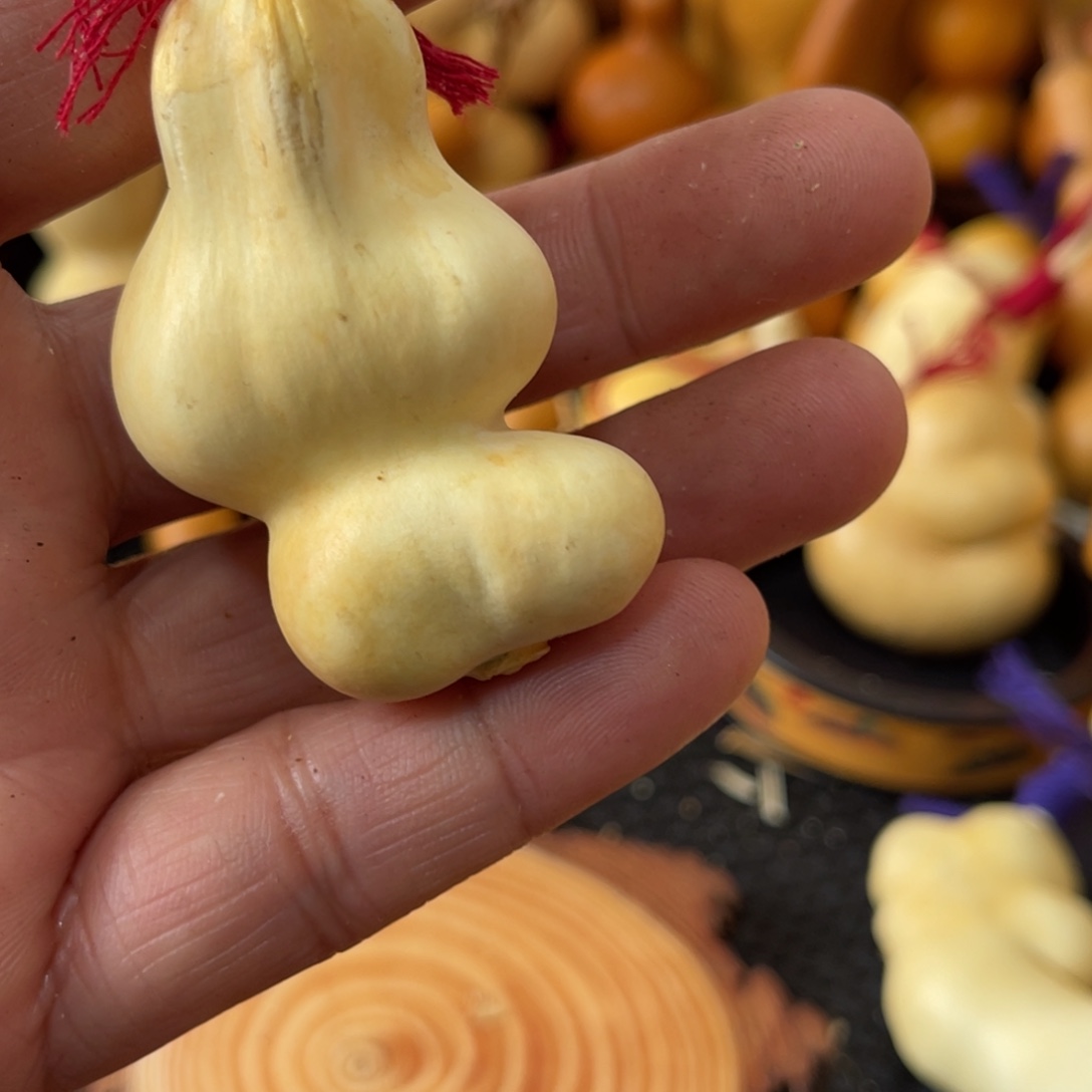 早***一葫芦哈哈哈哈哈哈 