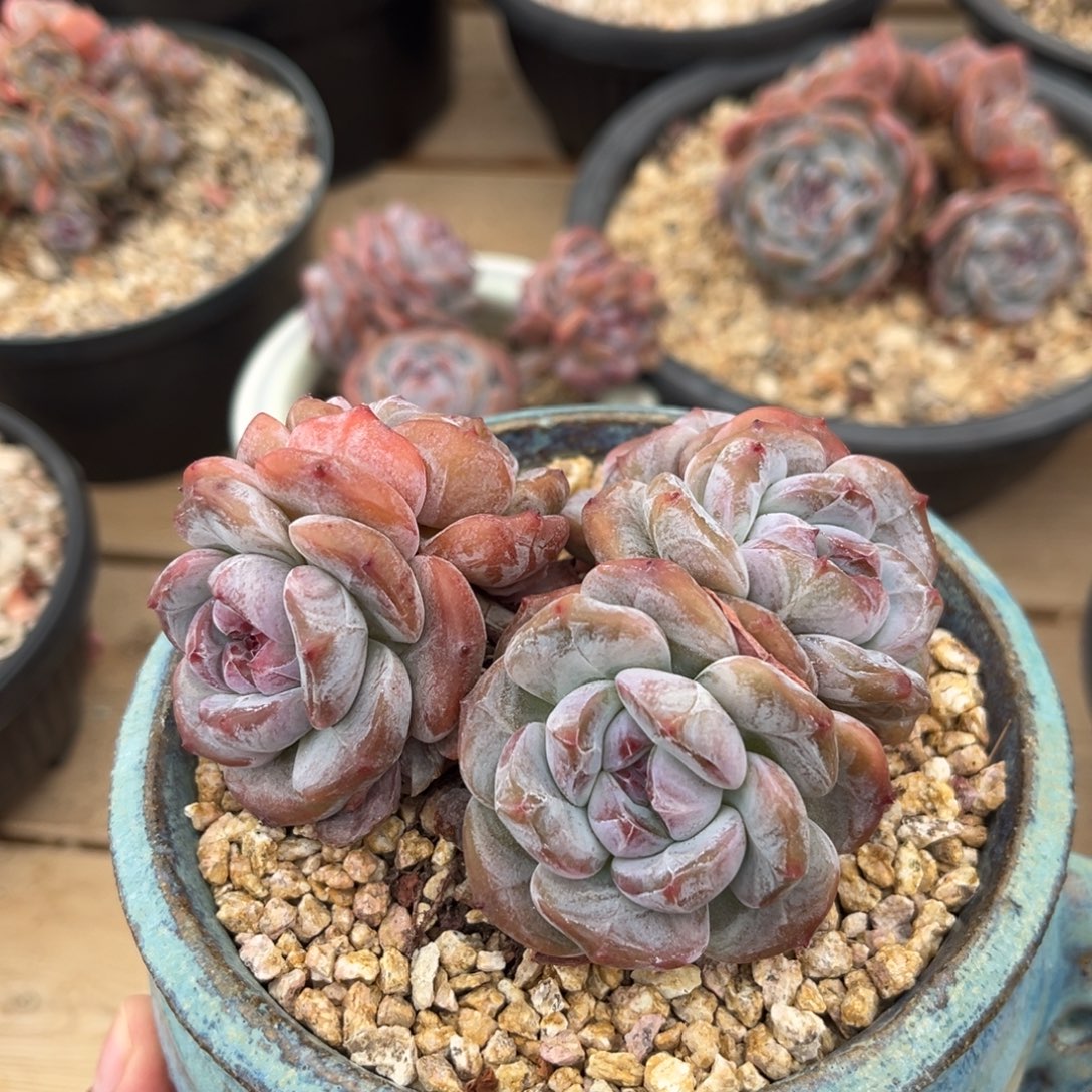 哈哈哈哈哈哈哈哈哈