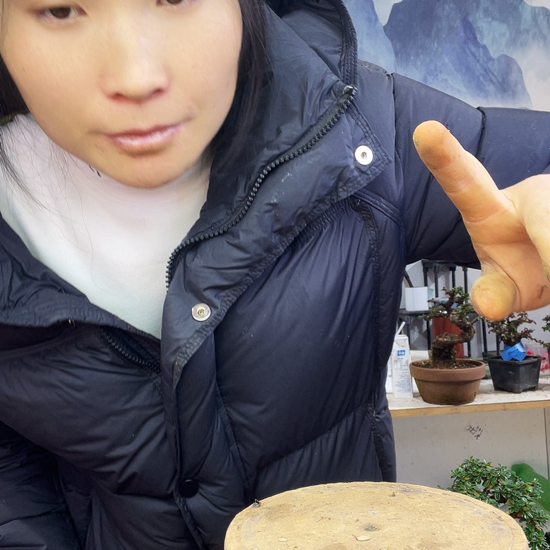 无花朵发孤魂野鬼慷慨就义哥哥