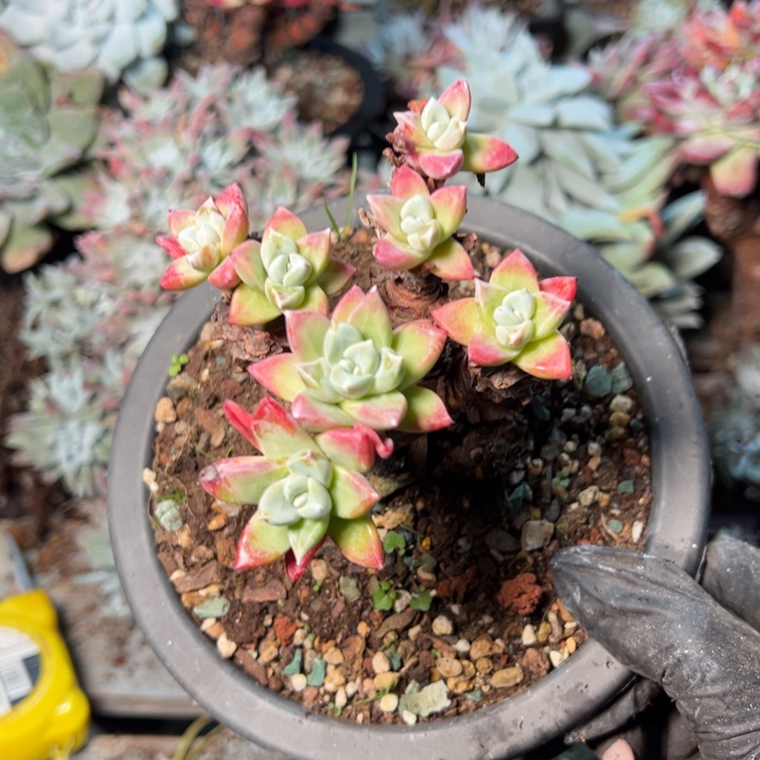 8891哈哈哈哈哈哈哈哈哈