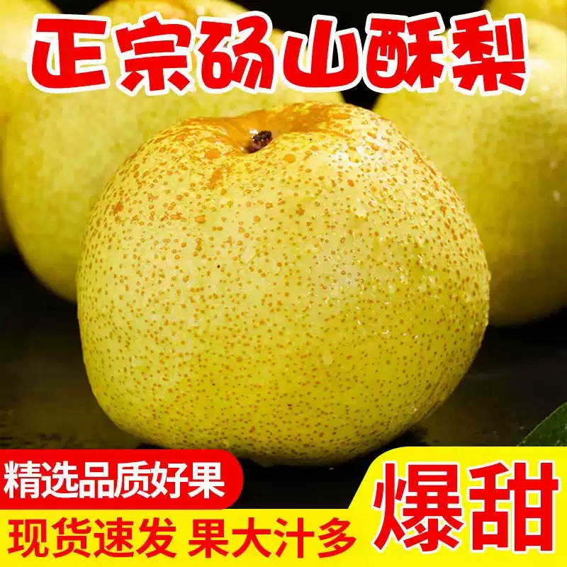 新疆直发正宗砀山酥梨新鲜现摘皮薄多汁香甜脆口水果脆甜多汁