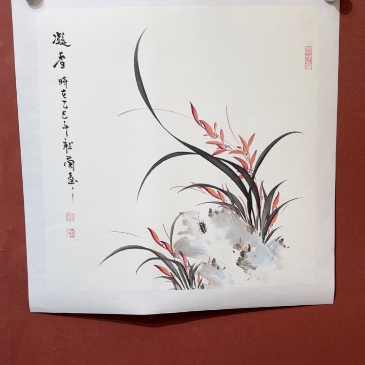 国画听兰老师花鸟