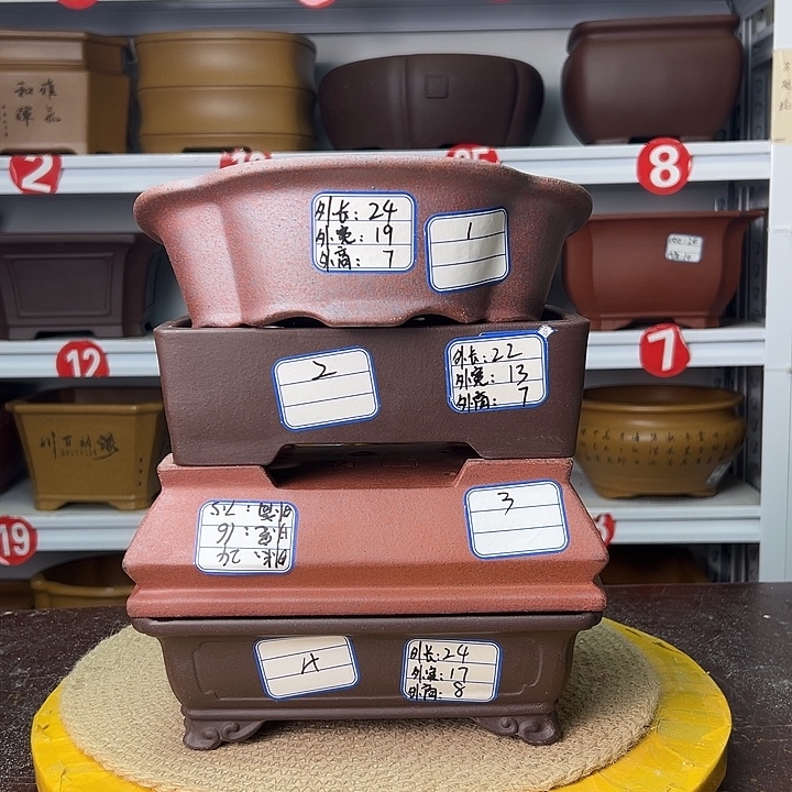 花盆紫砂你们的小