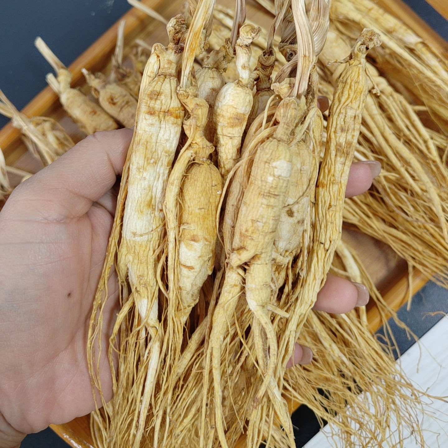 长白山生晒树下参参残皮老纹深适合家吃家用