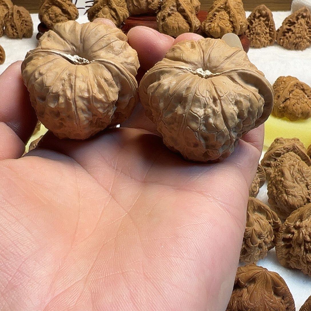 南瓜精品45尺寸的