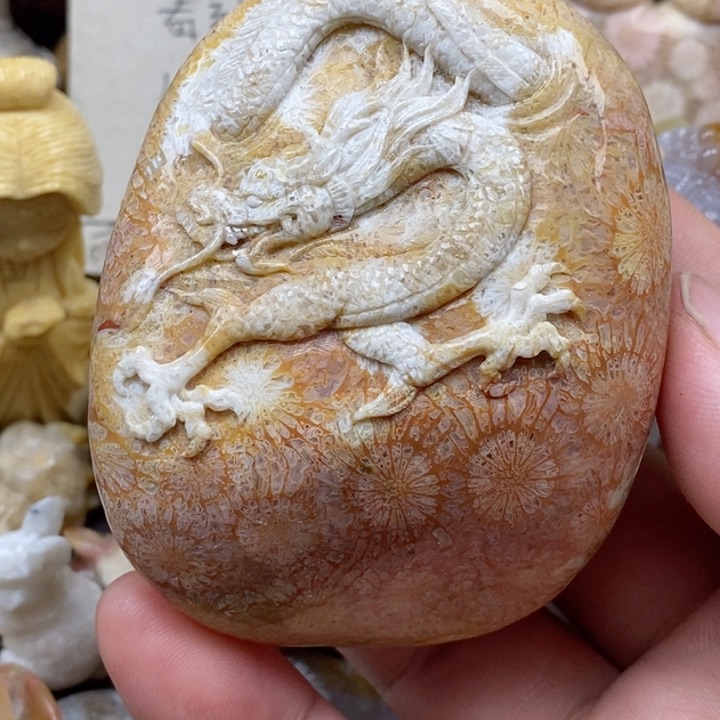 颈饰未镶嵌硅化珊瑚（珊瑚玉）