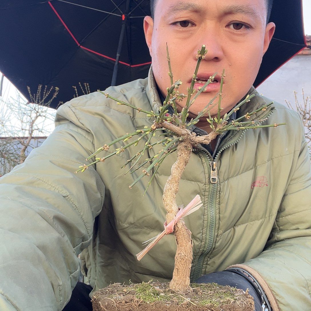 不****无花朵谢谢你的关心和支持