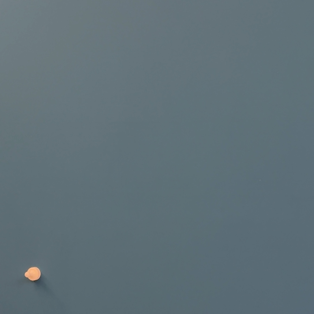 国画苍***笑密密麻麻密密麻麻密密麻麻