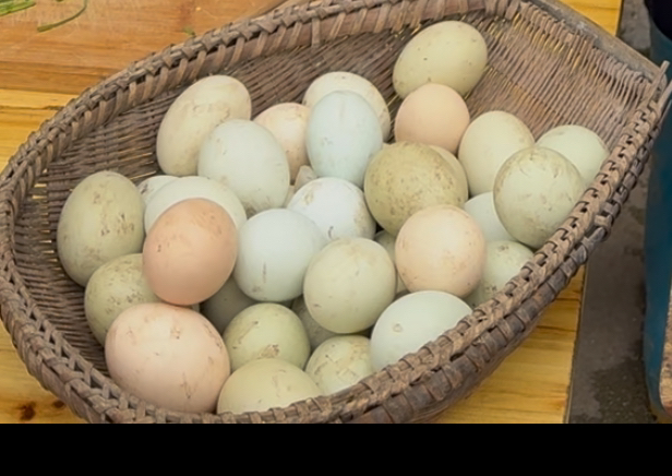 湘西农家散养土鸡蛋