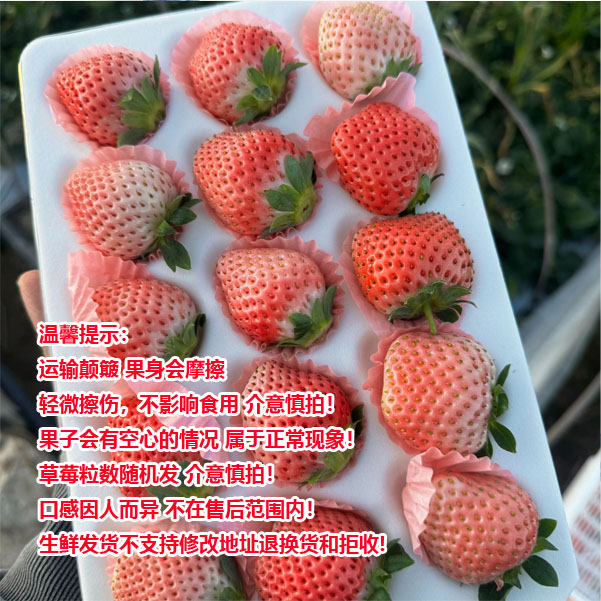  【顺丰空运】云南抚仙湖露天 水蜜桃草莓（每盒粒数随机发）