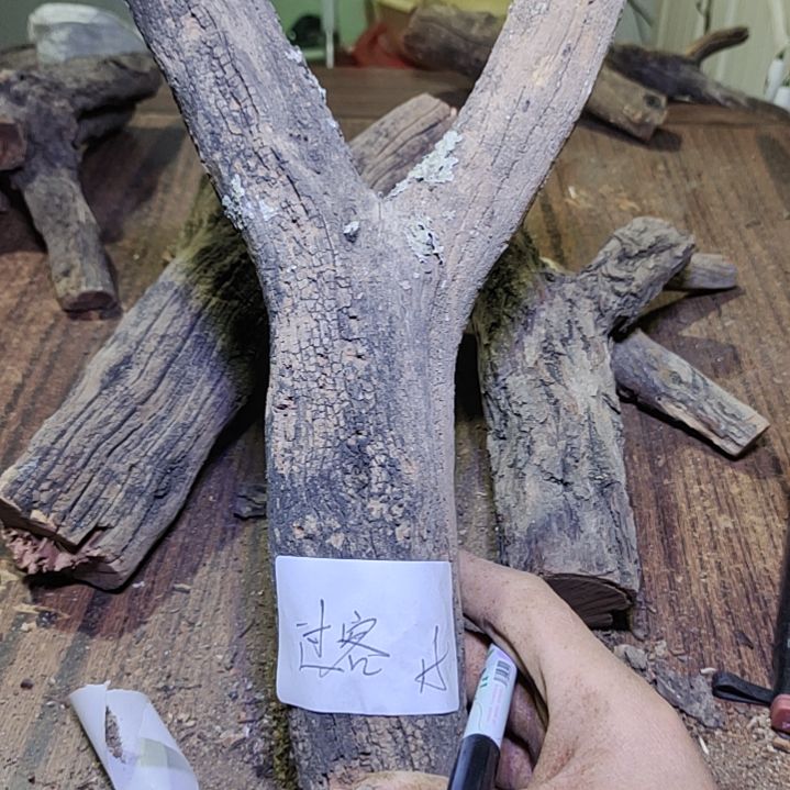 过***客火琉璃原杈不保沉水慎拍！