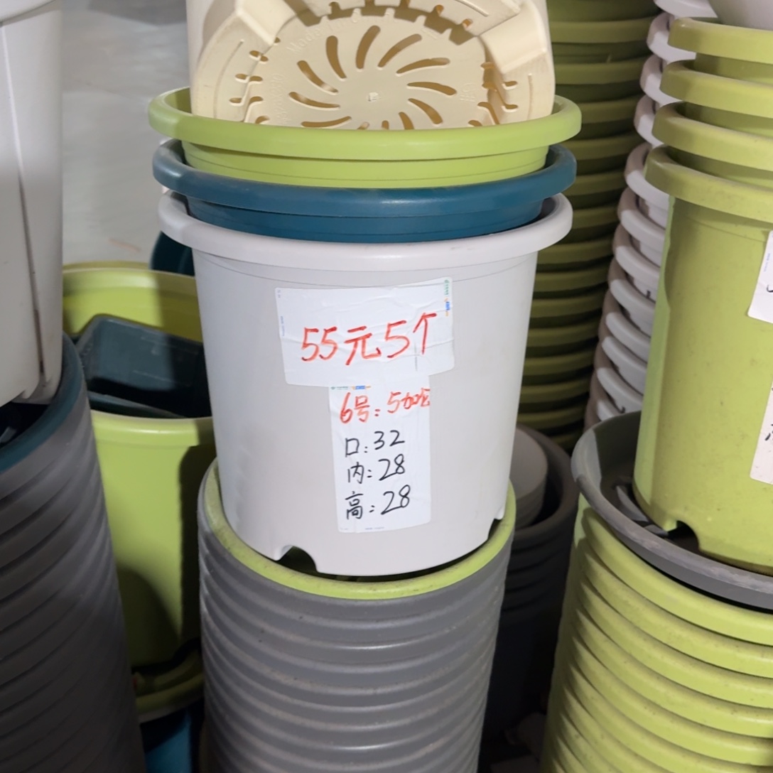 四季6#口径32无拖果绿5个