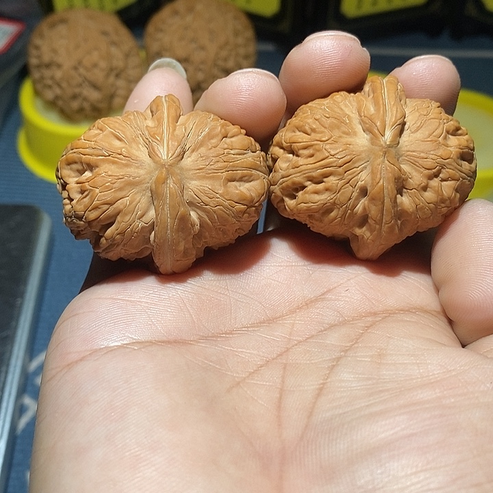 文玩核桃把件*️42全品元宝