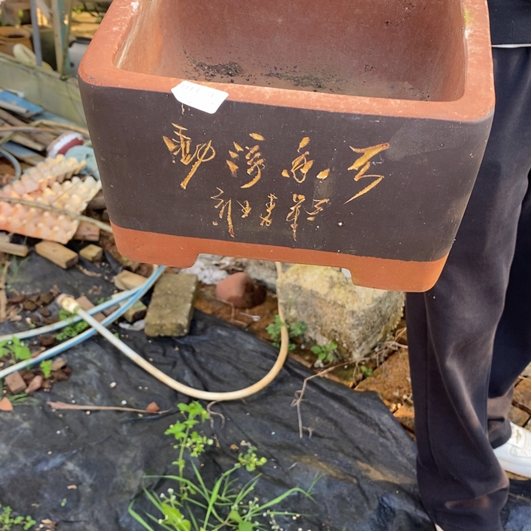 松***子74号多肉盆口径22