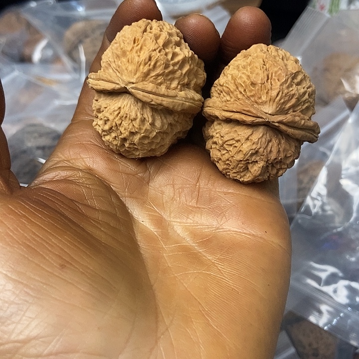 把件文玩核桃云南铁核桃基地11
